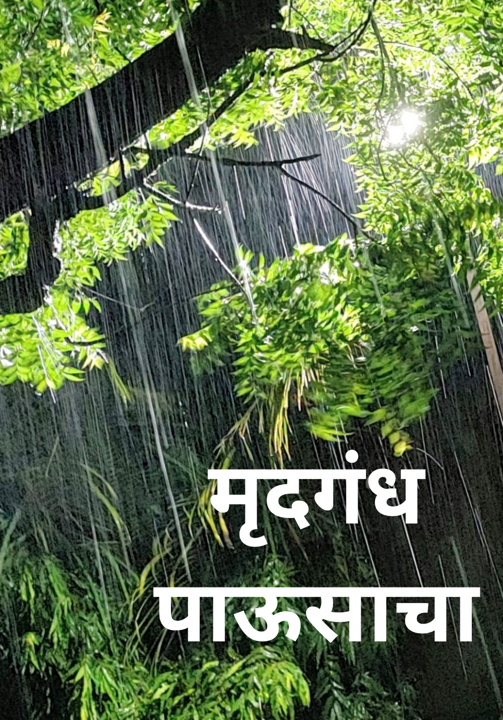 मृदगंध पाऊसाचा