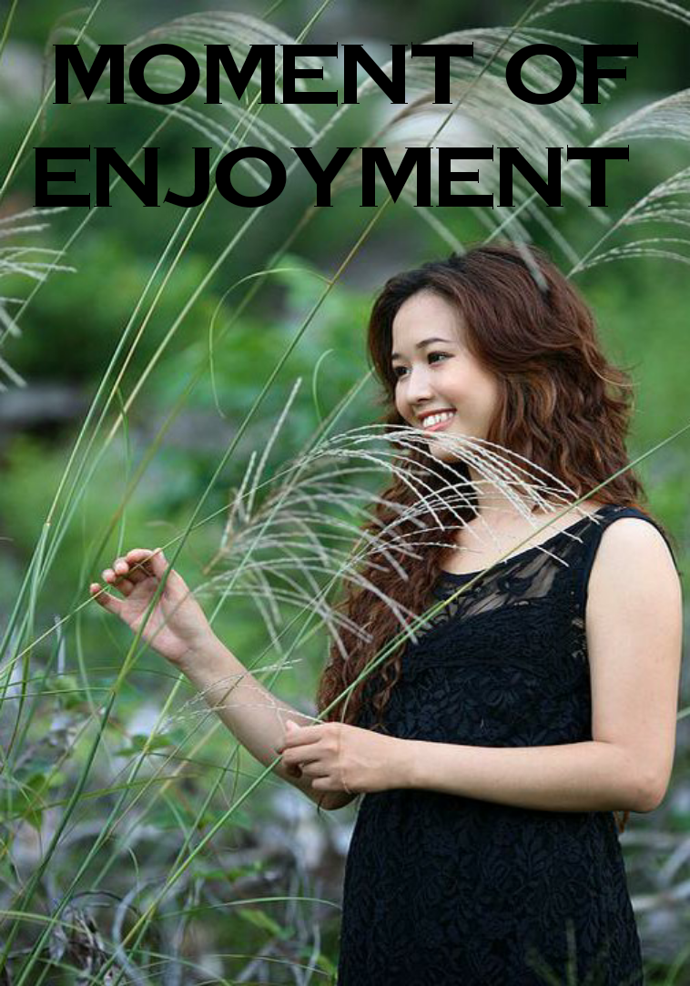 मोमेन्ट ऑफ एन्जॉयमेंट