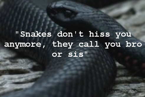 "Snakes don't hiss you anymore, they call you bro or sis" 