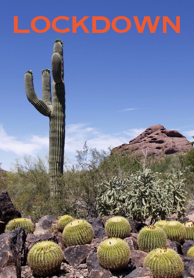 Lockdown# Happiness#