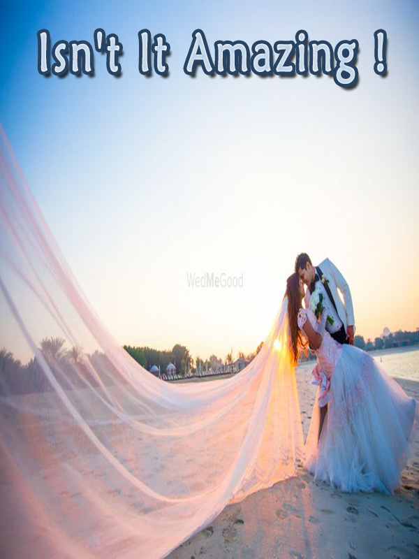 ISN T IT AMAZING MEANING IN HINDI visual data 8