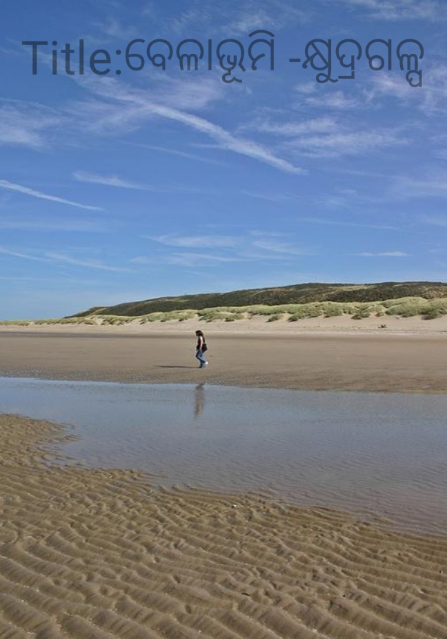 ବେଳାଭୂମି