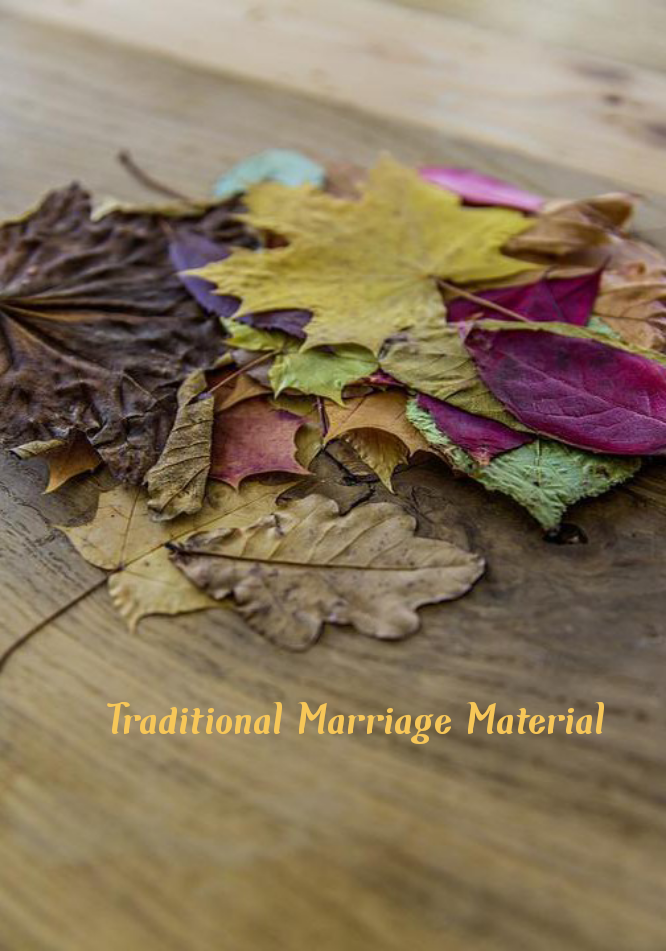 Traditional Marriage Material