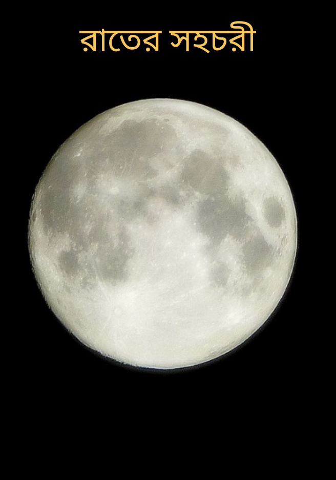 রাতের সহচরী