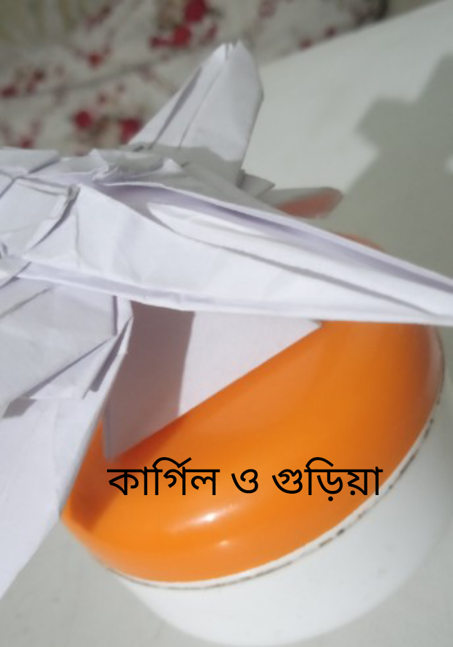 কার্গিল ও গুড়িয়া