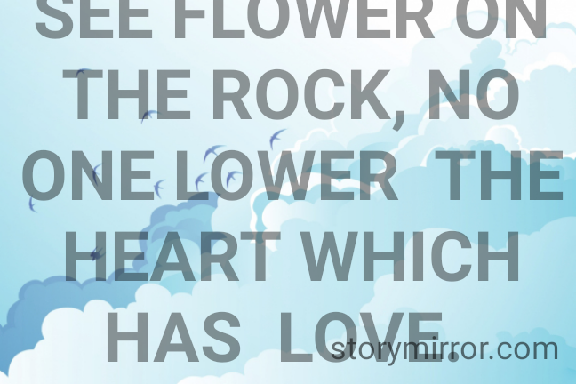 NO ONE CAN SEE FLOWER ON THE ROCK, NO ONE LOWER  THE HEART WHICH HAS  LOVE. 