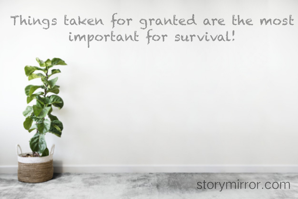 Things taken for granted are the most important for survival!