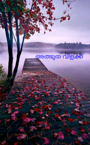 അത്ഭുത വിളക്ക്