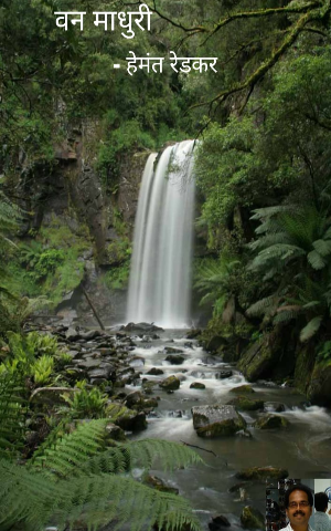 वन माधुरी