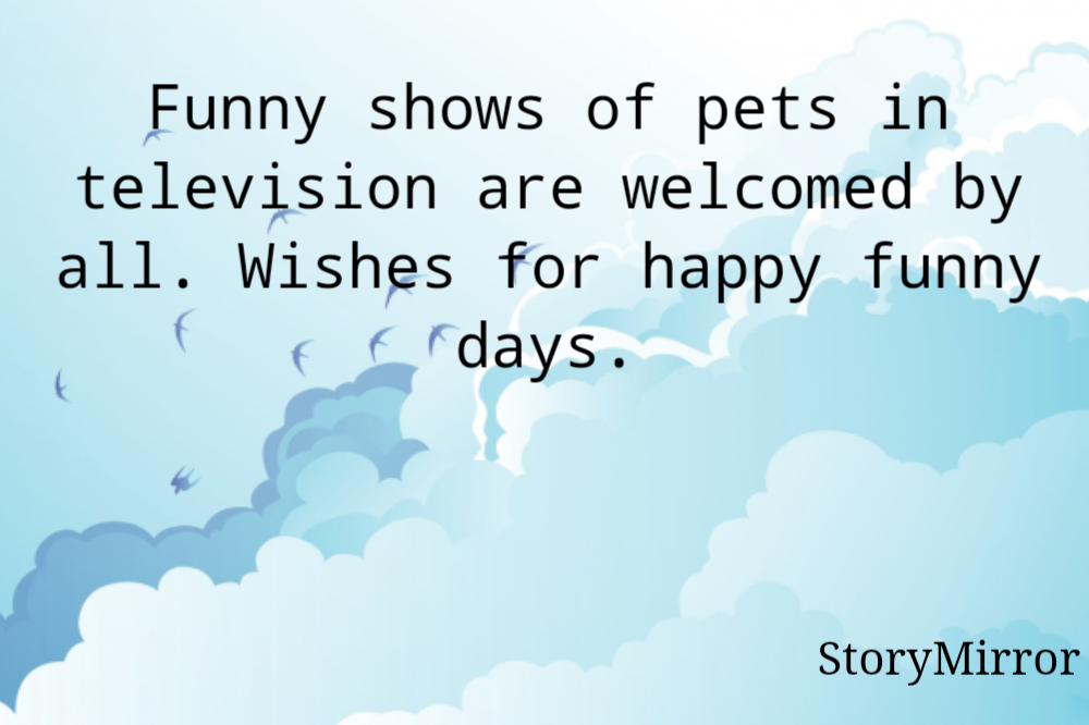 Funny shows of pets in television are welcomed by all. Wishes for happy funny days.