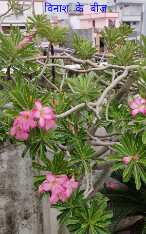 विनाश के बीज