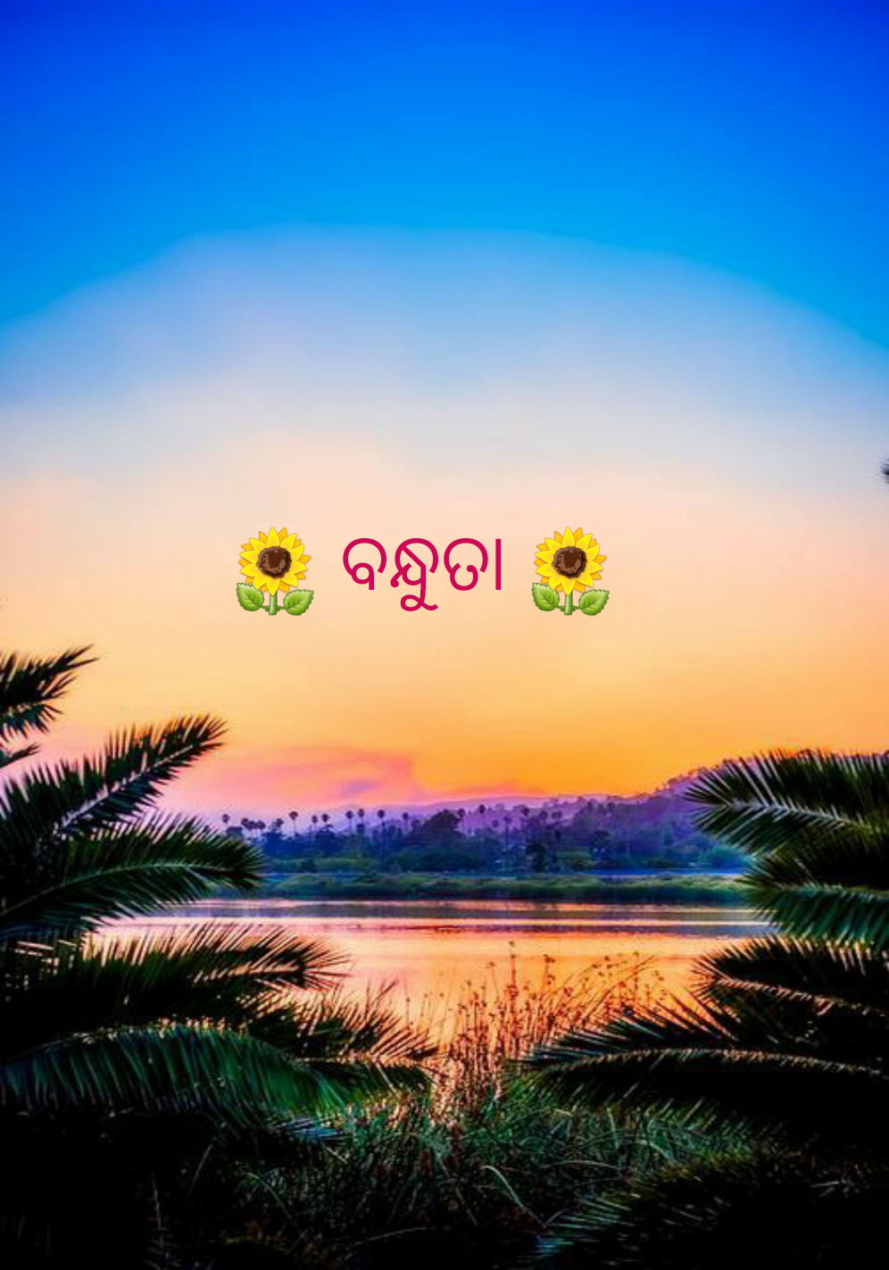 ବନ୍ଧୁତା