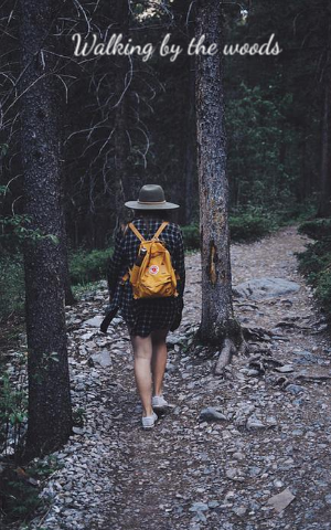 Walking By The Woods