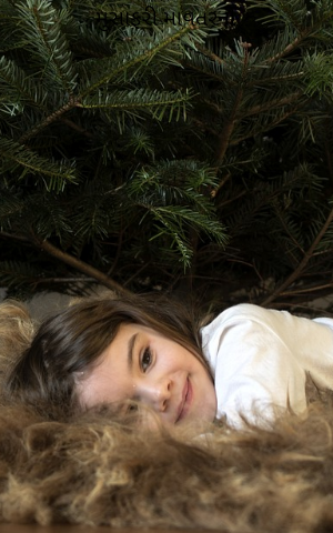 મુસાફરી માવતરની