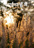 आईना हूँ मैं,