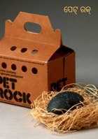 ପେଟ୍ ରକ୍