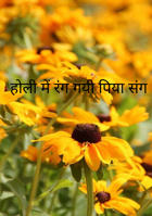 होली में रंग गयी पिया संग