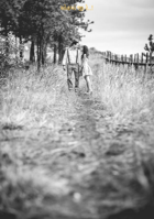 સોહયાં જી રે