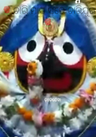 ଚାରି ମାସ ସତେ ଚାରିଯୁଗ