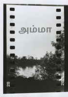 அம்மா