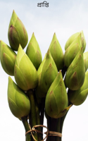 প্রাপ্তি