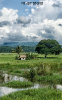 না এর চাওয়া