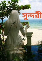 সুন্দরী
