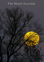 The Moon Ascends