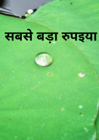 सबसे बड़ा रुपइया