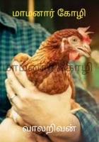 மாமனார் கோழி