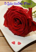 నీ ప్రేమ సందేశం కోసం !