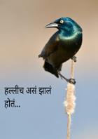 हल्लीच असं झालं होतं...