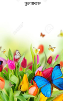 फुलपाखरू