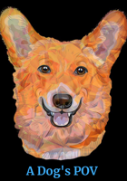 A Dog's POV