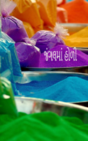 જંગલમાં હોળી