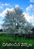 చిగురించిన వెన్నెల