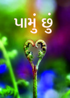 પામું છું