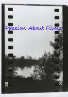 Passion About Films