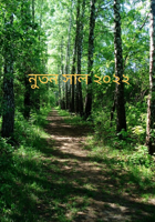 নুতন সাল ২০২২