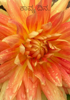 ಕಾವ್ಯ ದಿನ.