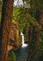 અકસ્માત