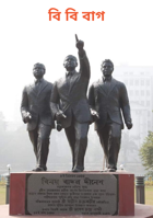 বি বি বাগ