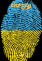 దర్యాప్తు