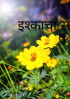 Bride-Shopping (Hyderabad)