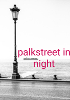 palkstreet in night
