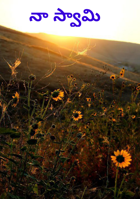 నా స్వామి