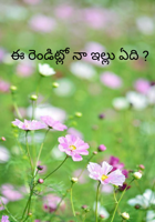 ఈ రెండిట్లో నా ఇల్లు ఏది ?