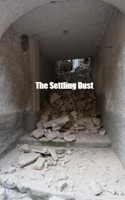 The Settling Dust