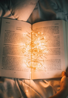 বিভ্রাট