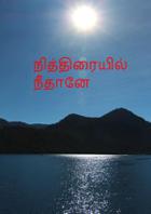 நித்திரையில் நீதானே